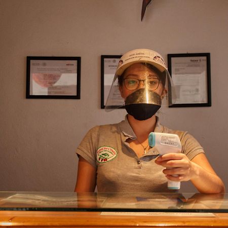 Hotel Aurora Oaxaca Bagian luar foto